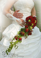 Gallery Item 40